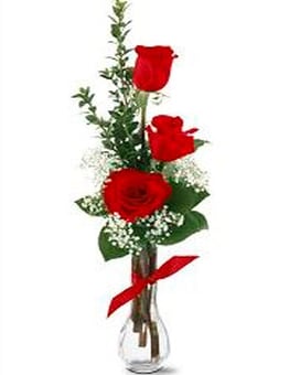 Classic Red Rose with Babies Breath Bud Vase