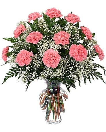 Carnations Arranged with Babies Breath Flower Arrangement
